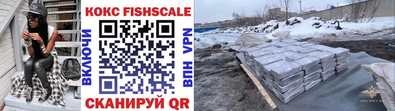 ОМГ ОМГ как войти  Брюховецкая  Кокаин Fish Scale 