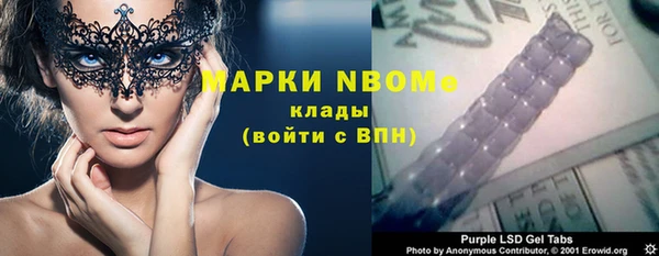 Альфа ПВП Новозыбков