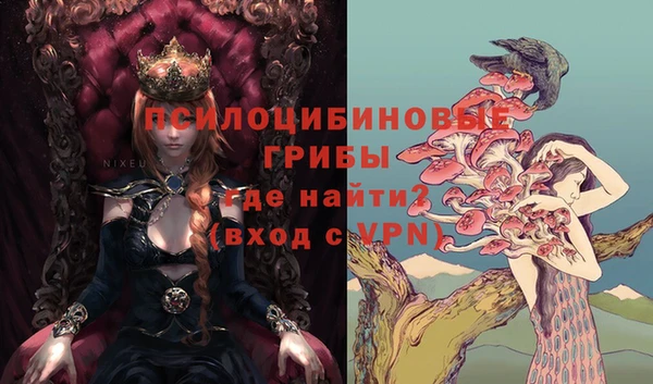 эйфоретик Новодвинск