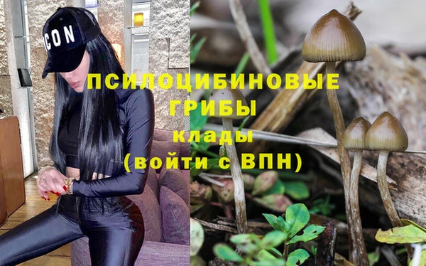 Альфа ПВП Новозыбков