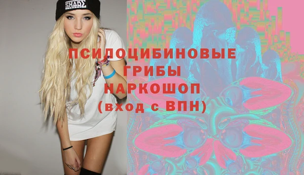 Альфа ПВП Новозыбков